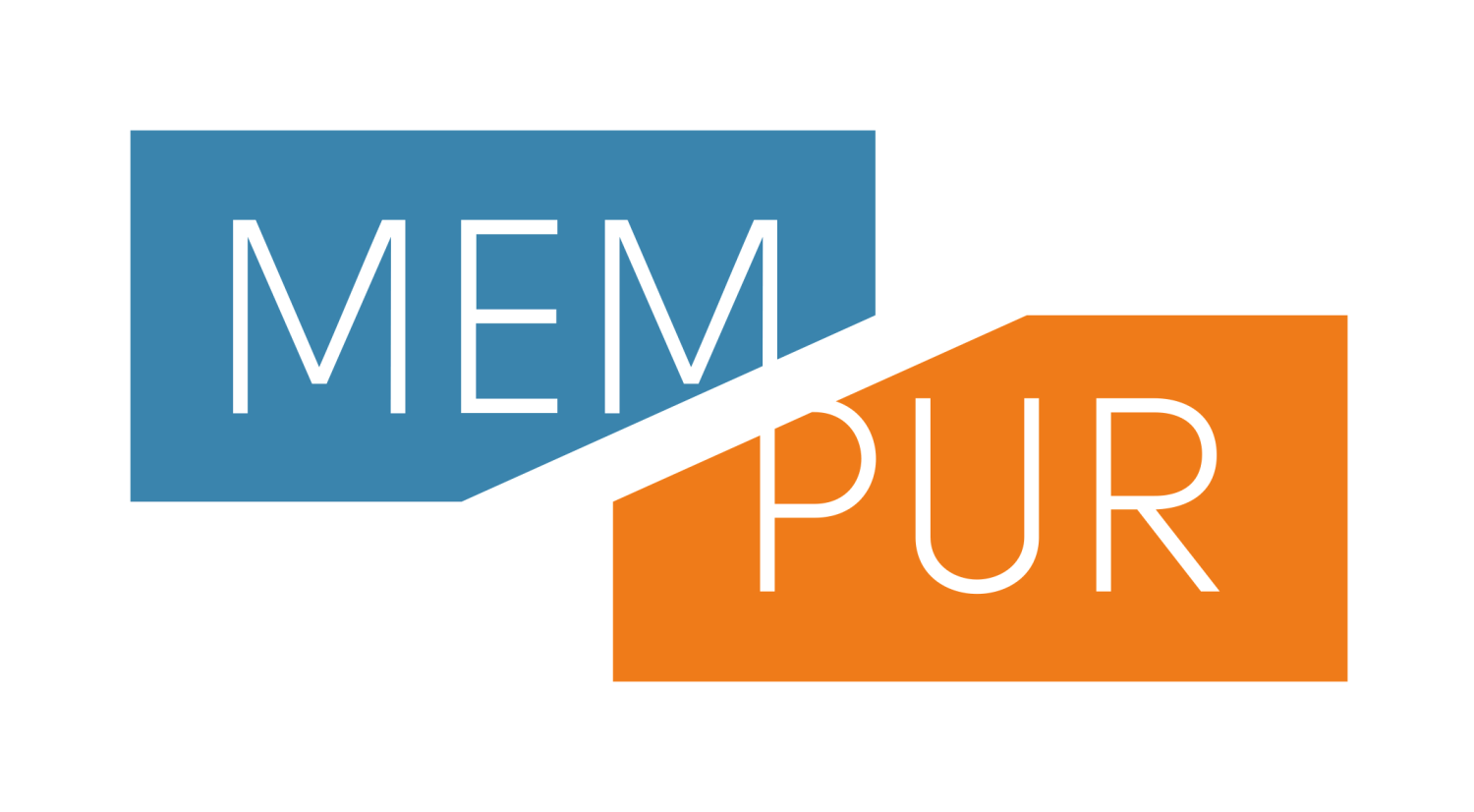 MEMPUR 2025
